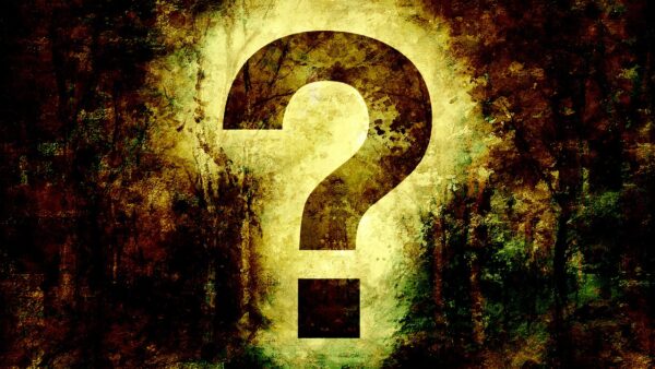 Question Mark Why Question - chenspec / Pixabay
